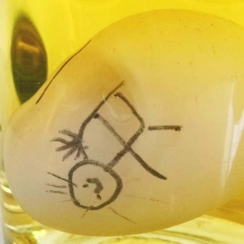 Create a floating egg in this fun Halloween twist on a classic science experiment for kids! Learn about the Middle Ages, water density, and science in one!
