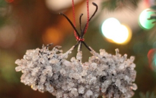 Make borax crystal nature ornaments to complete your holiday decorating. The crystals look like frosty icicles and make the ornaments shimmer in the light.