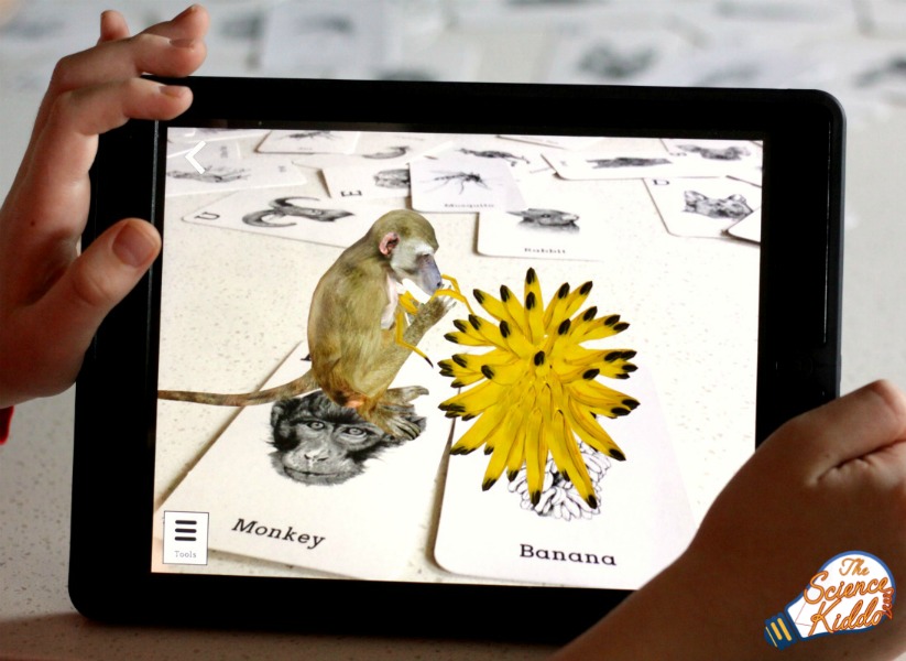 Interactive Animal Alphabet Flashcards • The Science Kiddo