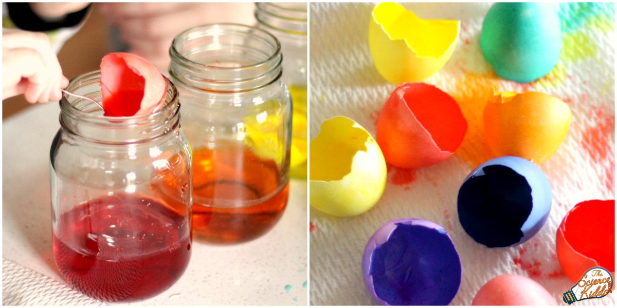 Use leftover Easter egg dye to make these bright and colorful egg head planters! The perfect spring science experiment for kids at home or in the classroom.